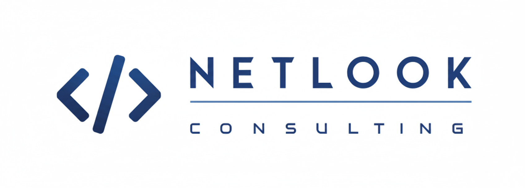 NETLOOK Logo